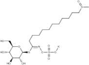 Homoglucocamelinin potassium salt