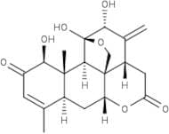 Ailanthone