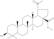 Betulinic acid methylester
