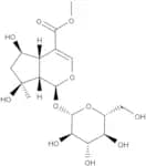 Shanzhiside methylester