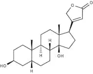Digitoxigenin