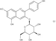 Callistephin chloride