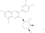 Cyanidin-3-O-arabinoside chloride