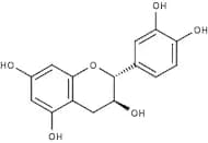 (+)-Catechin