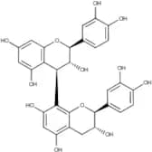 Procyanidin B3