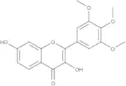 3,7-Dihydroxy-3',4',5'-trimethoxyflavone