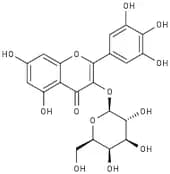 Myricetin-3-O-galactoside