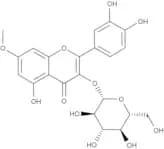 Rhamnetin-3-O-glucoside