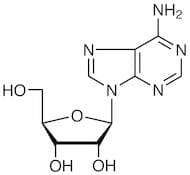 Adenosine