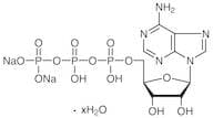 Adenosine 5'-Triphosphate Disodium Salt Hydrate