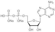 Adenosine 5'-Diphosphate Disodium Salt