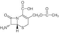 7-Aminocephalosporanic Acid