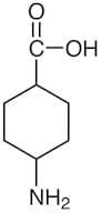 4-Aminocyclohexanecarboxylic Acid (cis- and trans- mixture)
