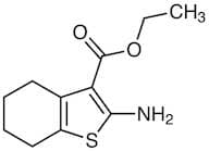 Ethyl 2-Amino-4,5,6,7-tetrahydrobenzo[b]thiophene-3-carboxylate