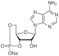 Adenosine 3',5'-Cyclic Monophosphate Sodium Salt