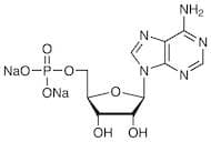 Adenosine 5'-Monophosphate Disodium Salt