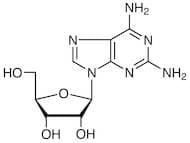 2-Aminoadenosine