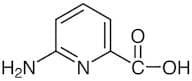6-Amino-2-pyridinecarboxylic Acid