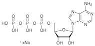 Adenosine 5'-Triphosphate Sodium Salt (ca. 100mM in Water) [for transcription][for Molecular Biolo…