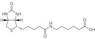 6-Biotinamidohexanoic Acid
