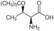 O-tert-Butyl-L-threonine