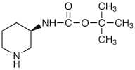 (R)-3-(tert-Butoxycarbonylamino)piperidine