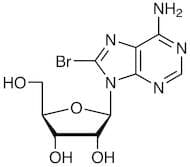 8-Bromoadenosine