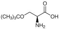 O-tert-Butyl-L-serine