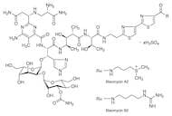 Bleomycin Sulfate (mixture)