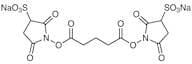 Bis(3-sulfo-N-succinimidyl) Glutarate Disodium Salt