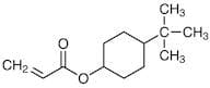 4-tert-Butylcyclohexyl Acrylate (cis- and trans- mixture) (stabilized with MEHQ)