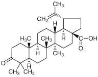 Betulonic Acid