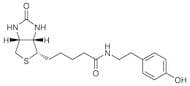 Biotinyl Tyramide