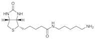 Biotin-C5-Amine