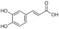 Caffeic Acid