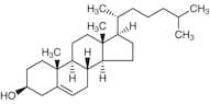 Cholesterol (stabilized with α-Tocopherol)