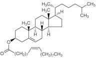 Cholesterol Oleate