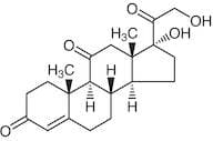 Cortisone
