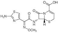 Ceftizoxime