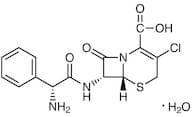 Cefaclor Monohydrate