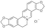 Coptisine Chloride