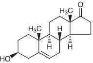 Dehydroepiandrosterone