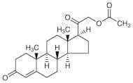 Deoxycorticosterone Acetate
