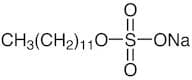 Sodium Dodecyl Sulfate