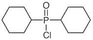 Dicyclohexylphosphinyl Chloride