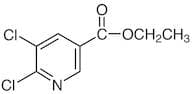 Ethyl 5,6-Dichloronicotinate