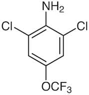 2,6-Dichloro-4-(trifluoromethoxy)aniline