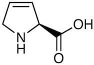 3,4-Dehydro-L-proline