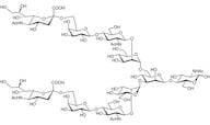 Disialyloctasaccharide