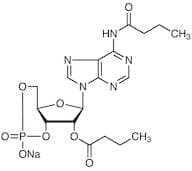 Bucladesine Sodium Salt